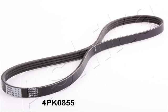 ASHIKA 112-4PK855: Multireim 855mm, Ribbeantall: 4