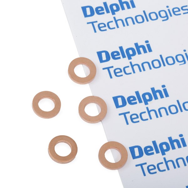 DELPHI 9001-850K: Kaitseseib, sissepritsesüsteem
