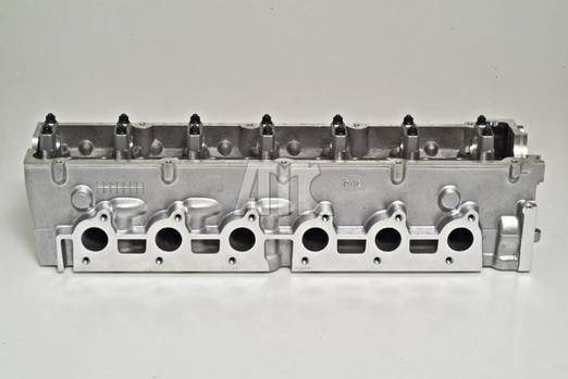AMC 908076: Chiulasa
