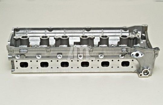 AMC 910555: Chiulasa