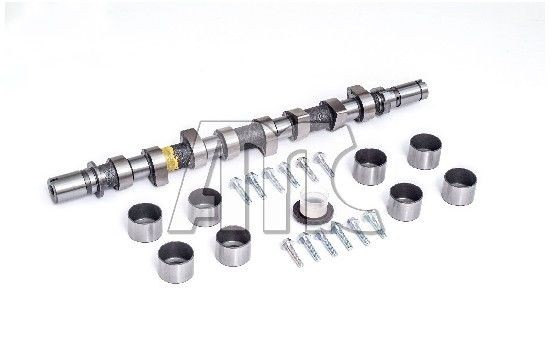 AMC 908542: Chiulasa