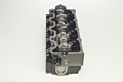 AMC 909155: Chiulasa