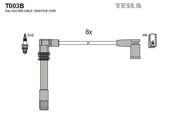 TESLA T003B: Set cablaj aprinder