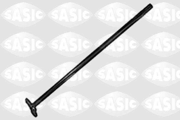 SASIC 1034464: Rool