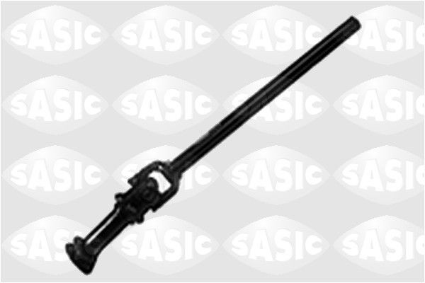SASIC 2004005: Rool
