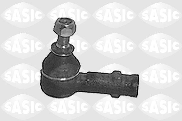 SASIC 9006383: Rooliots Esisild