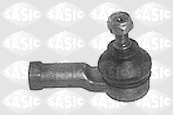 SASIC 9006585: Rooliots Esisild