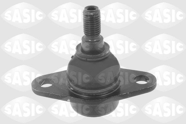 SASIC 9005520: Kande- / juhtliigend Esisild, all, väljas