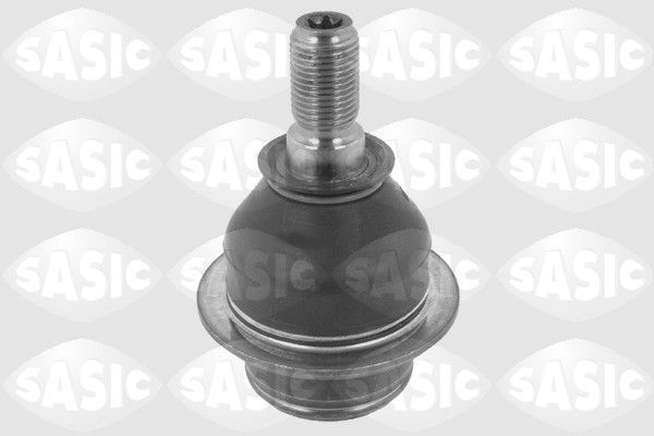 SASIC 9005528: Kande- / juhtliigend Esisild, all