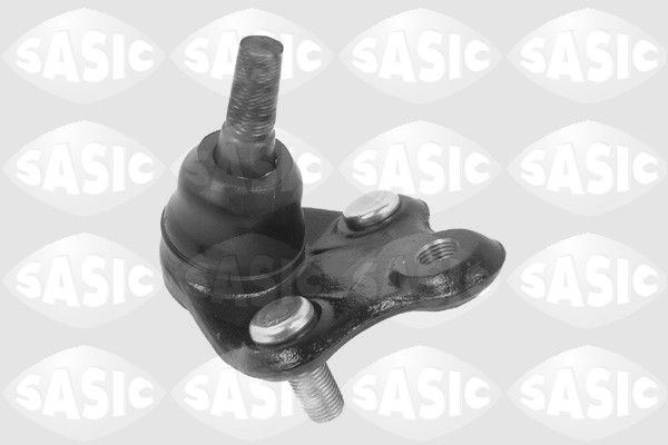 SASIC 9005567: Kande- / juhtliigend Esisild, all
