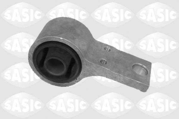 SASIC 2256019: Puks Esisild, taga, all