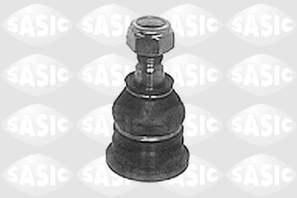 SASIC 9005299: Kande- / juhtliigend Esisild, all