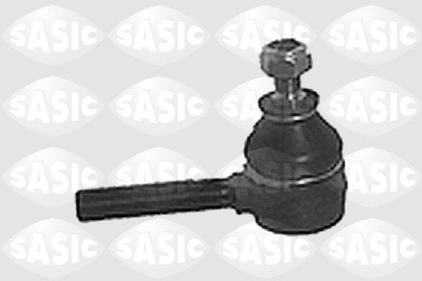 SASIC 9006529: Rooliots Esisild, väljas