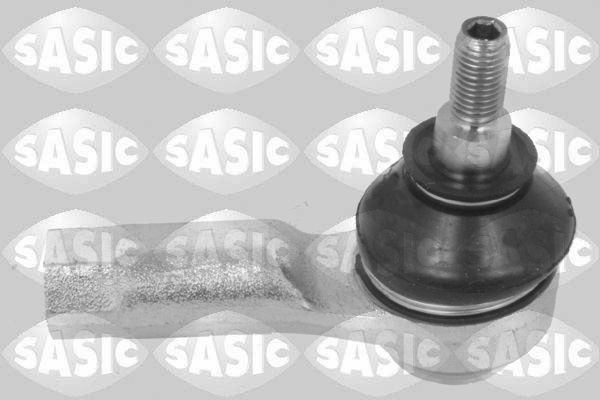 SASIC 7670007: Rooliots Esisild