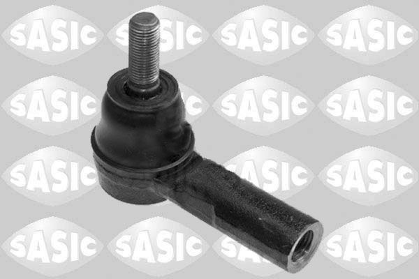 SASIC 7676043: Rooliots Esisild