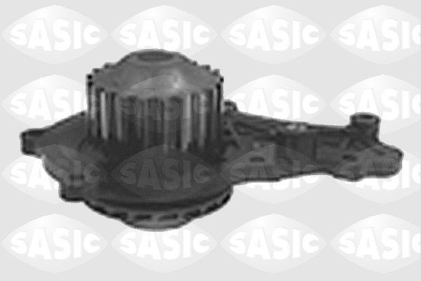 SASIC 2011F91: Veepump