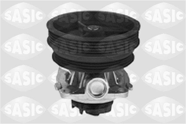 SASIC 3606002: Veepump