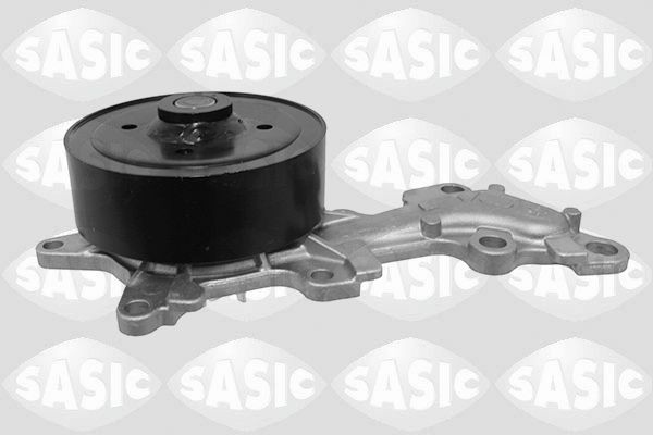 SASIC 3606108: Veepump