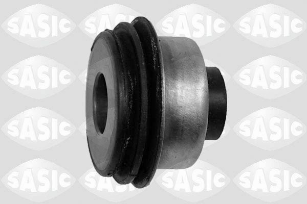 SASIC 2256074: Puks Esisild, taga, all