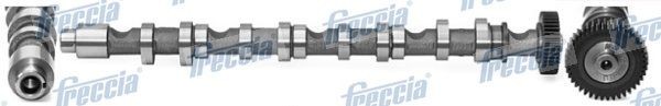 FRECCIA CM05-2196: Albero a camme Lato scarico