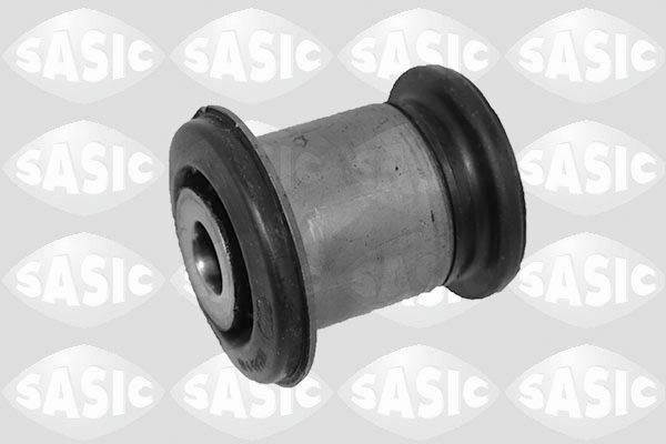 SASIC 2250024: Puks Tagasild, väljas