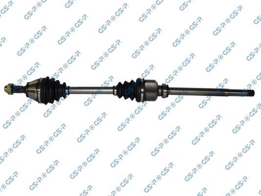 GSP 245198: Pusašis A1, 891mm