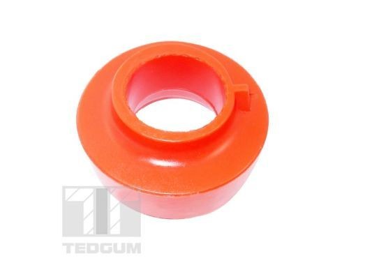 TEDGUM 00150285: Saiba arc