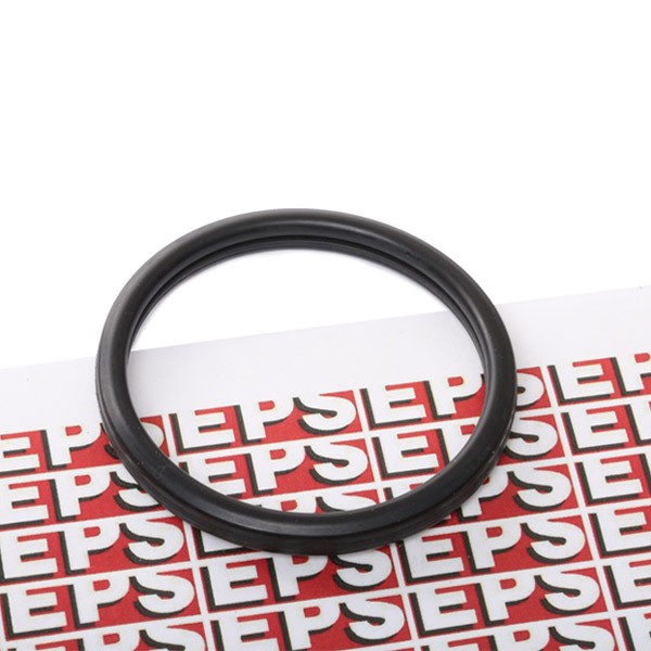 EPS 1.890.547: Tihend, termostaat Made in Italy - OE Equivalent