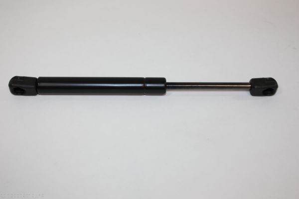 AUTOMEGA 100006910: Vérin de coffre 256mm