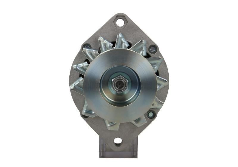 BV PSH 105.001.065.311: Alternator 65A