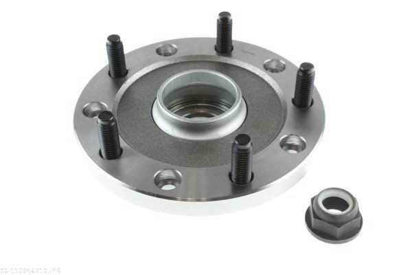 AUTOMEGA 110046210: Rulment sarcina suport arc