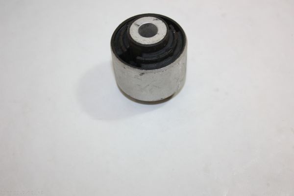 AUTOMEGA 110052710: Puks Esisild, all, ees, sees