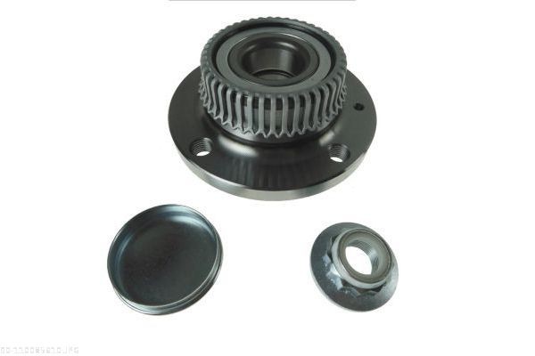 AUTOMEGA 110085610: Set rulment roata puntea spate