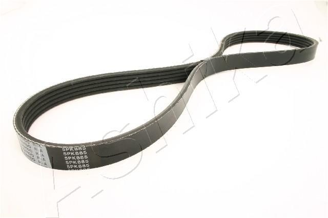 ASHIKA 112-5PK885: Curea transmisie cu caneluri 885mm, Numar nervuri: 5
