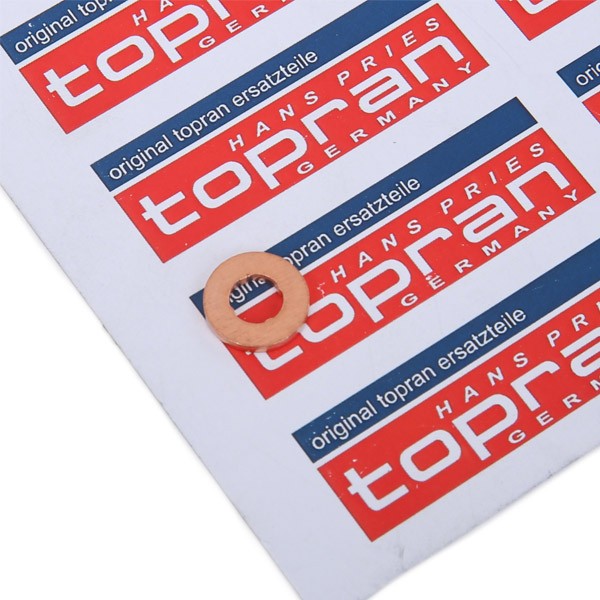 TOPRAN 115 878: Kaitseseib, sissepritsesüsteem