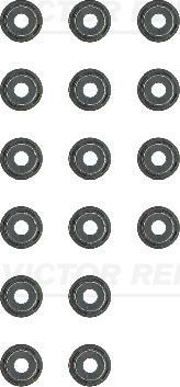 REINZ 12-11897-01: Set garnituri, ax supape