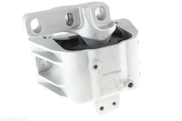 AUTOMEGA 120015920: Piduriketas