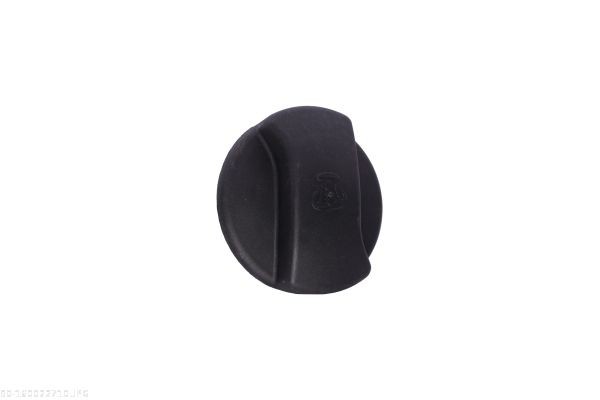 AUTOMEGA 130099020: Supapa comanda, poz. arbore cu came
