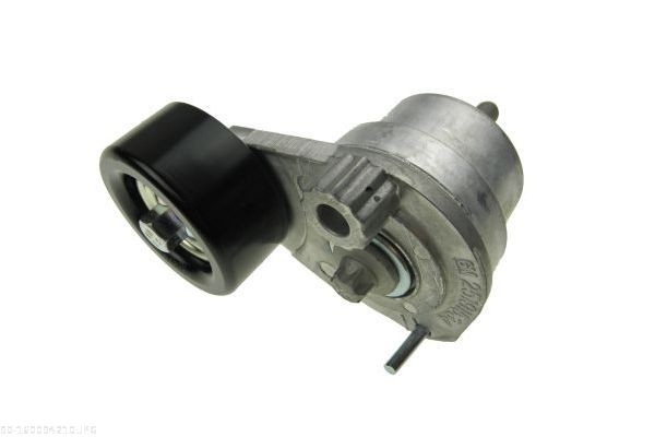 AUTOMEGA 140024620: EGR-klapp