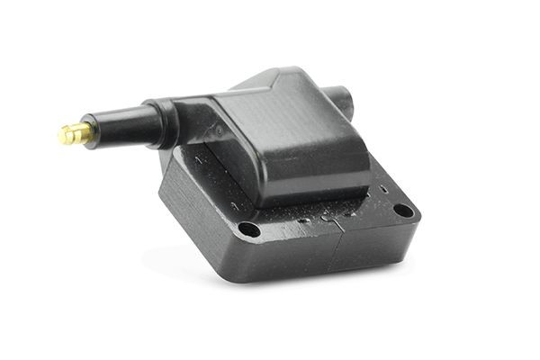 EFI AUTOMOTIVE 155287: Tennspole EFI - BOUGICORD