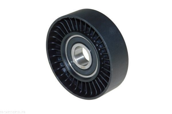 AUTOMEGA 160110210: Rola intinzator, curea transmisie