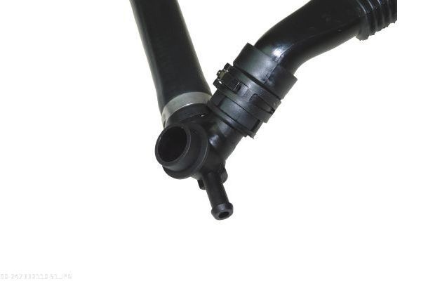 AUTOMEGA 180070010: Oro filtras