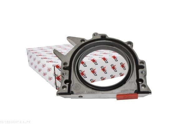 AUTOMEGA 190022210: Simering, arbore cotit cu flansa