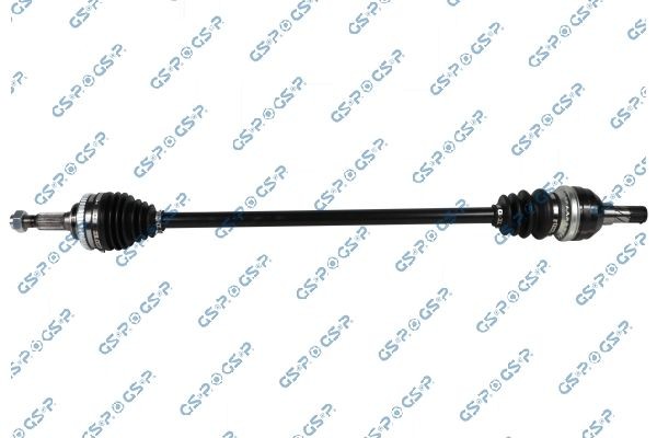 GSP 206059: Planetara A1, 934mm