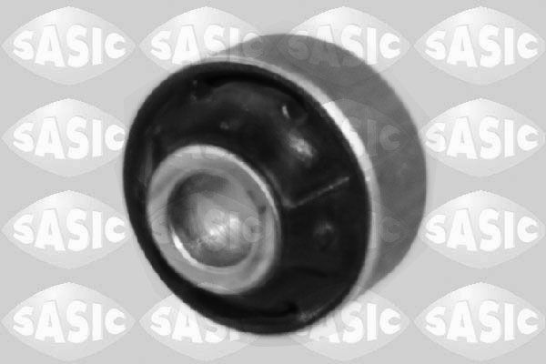SASIC 2250026: Puks Esisild, taga, all