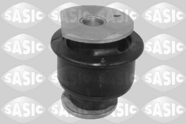 SASIC 2250031: Puks Tagasild, ees, all