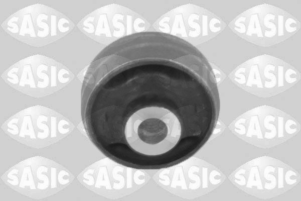SASIC 2256078: Puks Esisild, taga, all