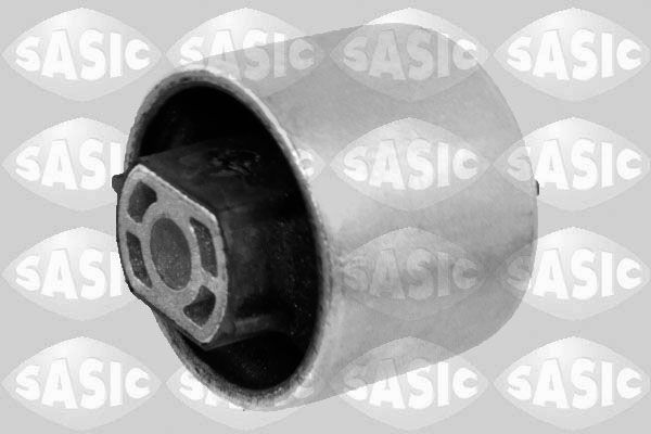 SASIC 2256084: Puks Tagasild, üleval