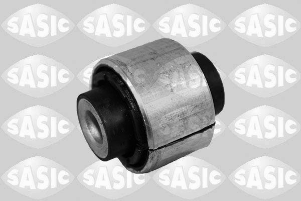 SASIC 2256088: Puks Tagasild, taga