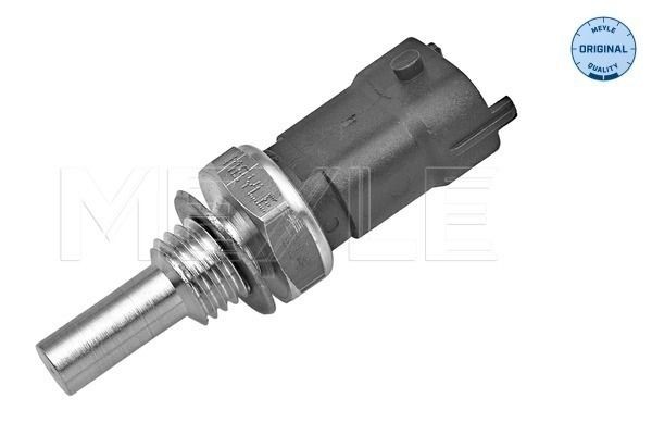 MEYLE 240 910 0010: Gaasivedru, pagasi- / veoruum 470mm, ORIGINAL Quality